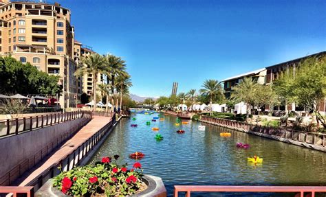 Scottsdale waterfront - Jul 27, 2018 · OdySea Aquarium is the main attraction and the largest aquarium in the Southwest, housing 500 different species of marine life. There’s also Butterfly Wonderland, an observatory with 3,000 ...